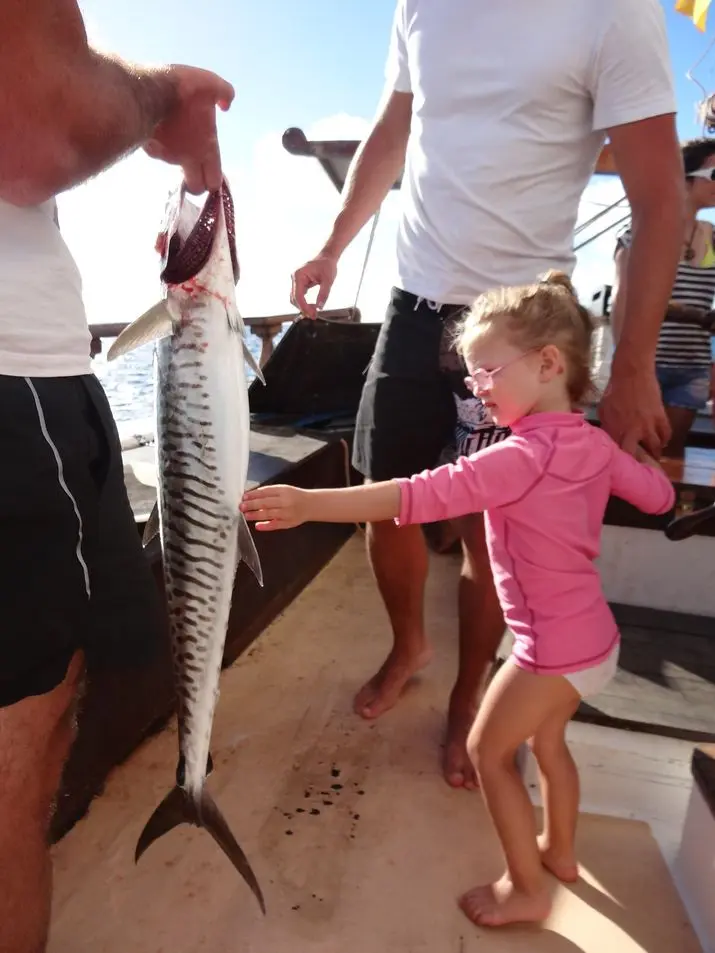 NC | Thazard