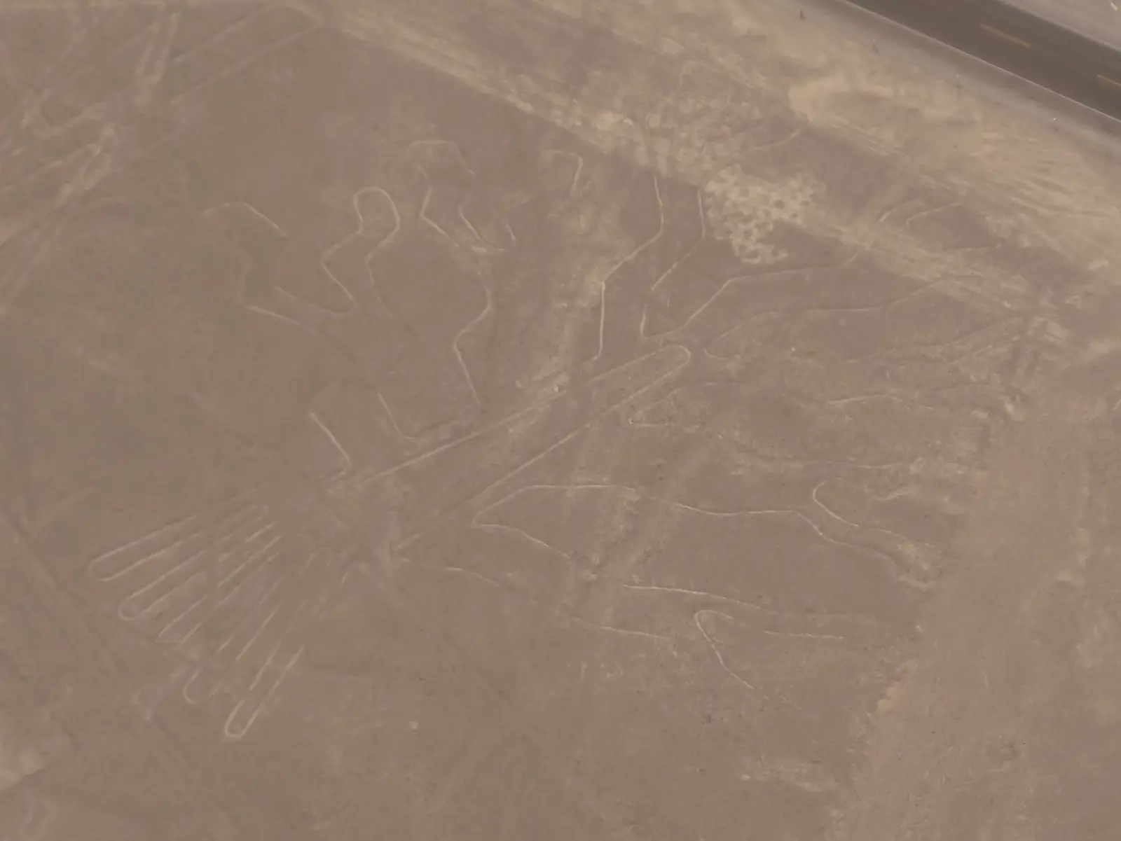 Nazca Lines