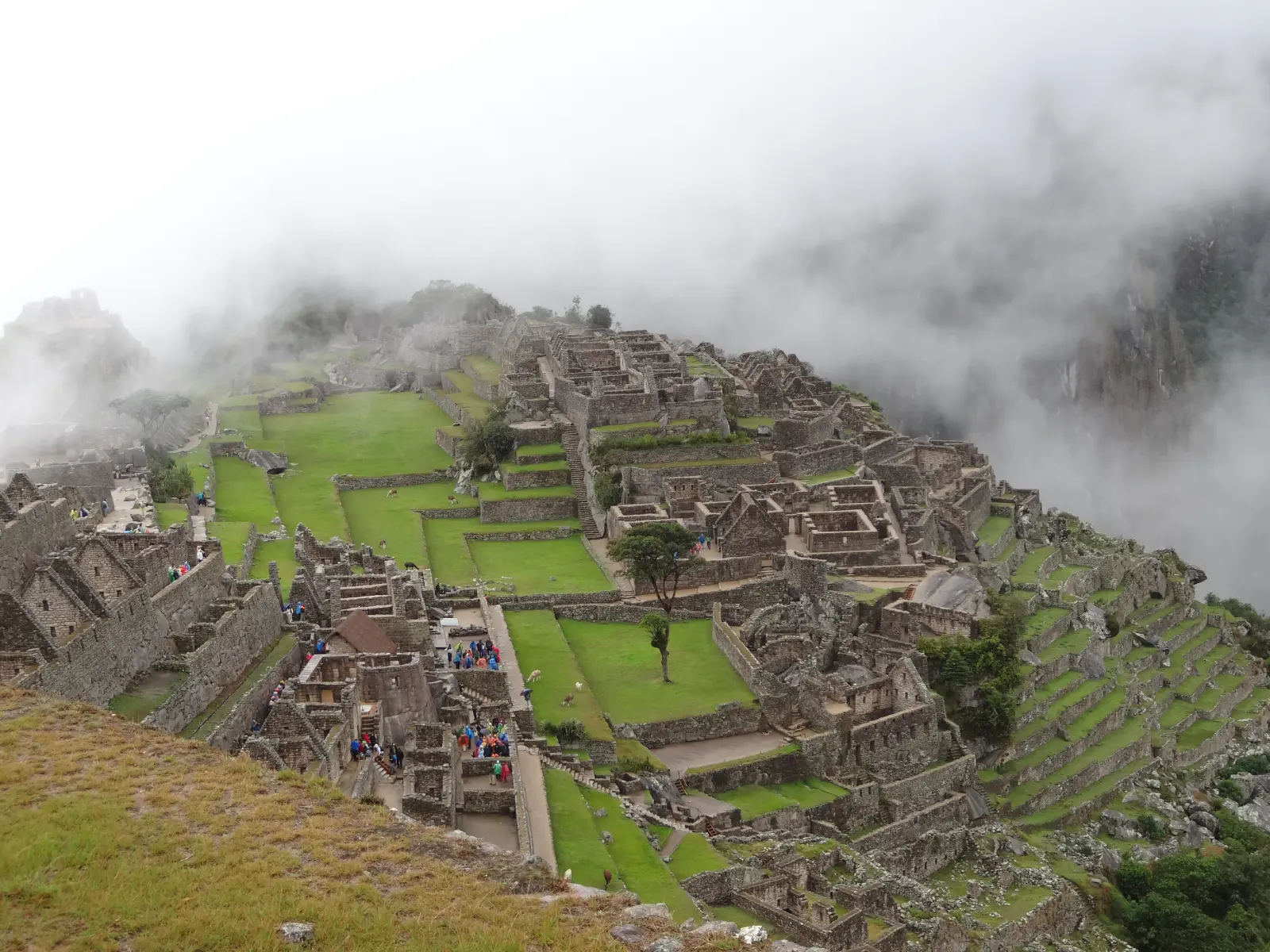 Machu Picchu