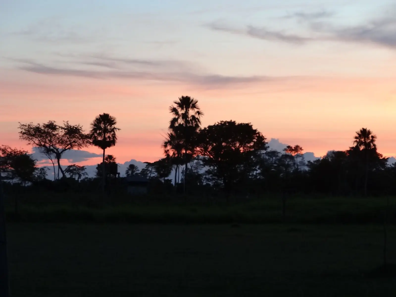 Rurre | Sunset