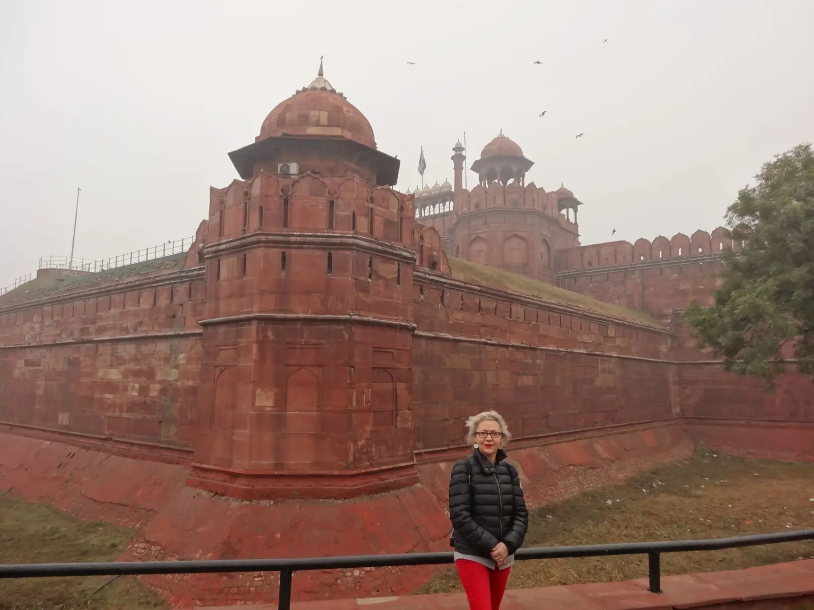 Delhi | Fort Rouge