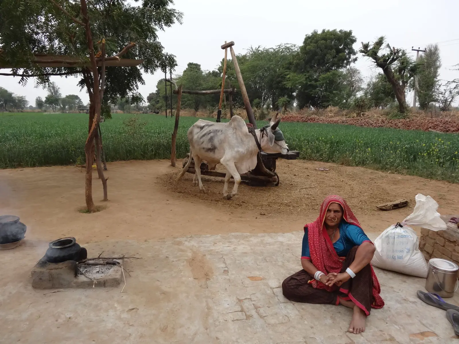 Village Bishnoï