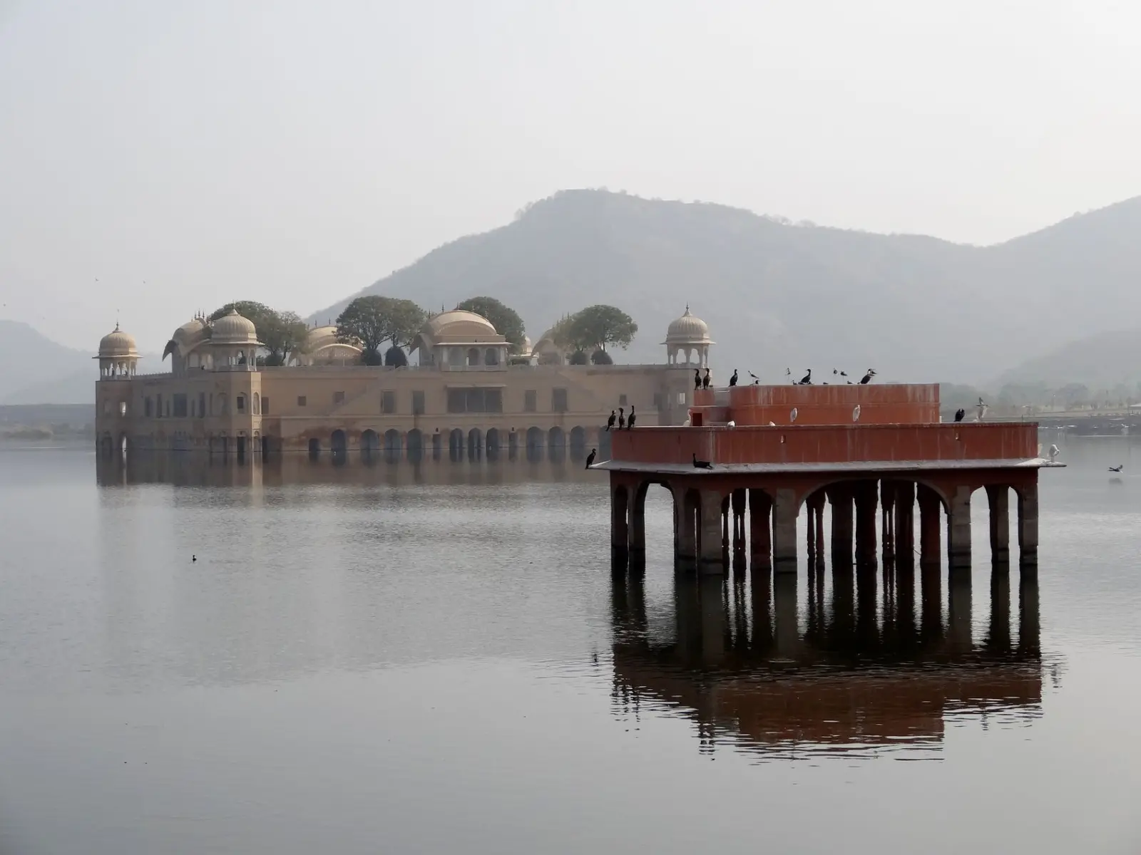 Jaipur | Palais de l'eau "Jal Mahal"