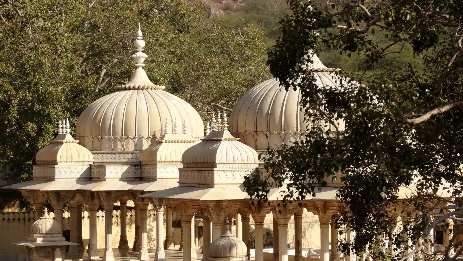 Jaipur | Gaitore