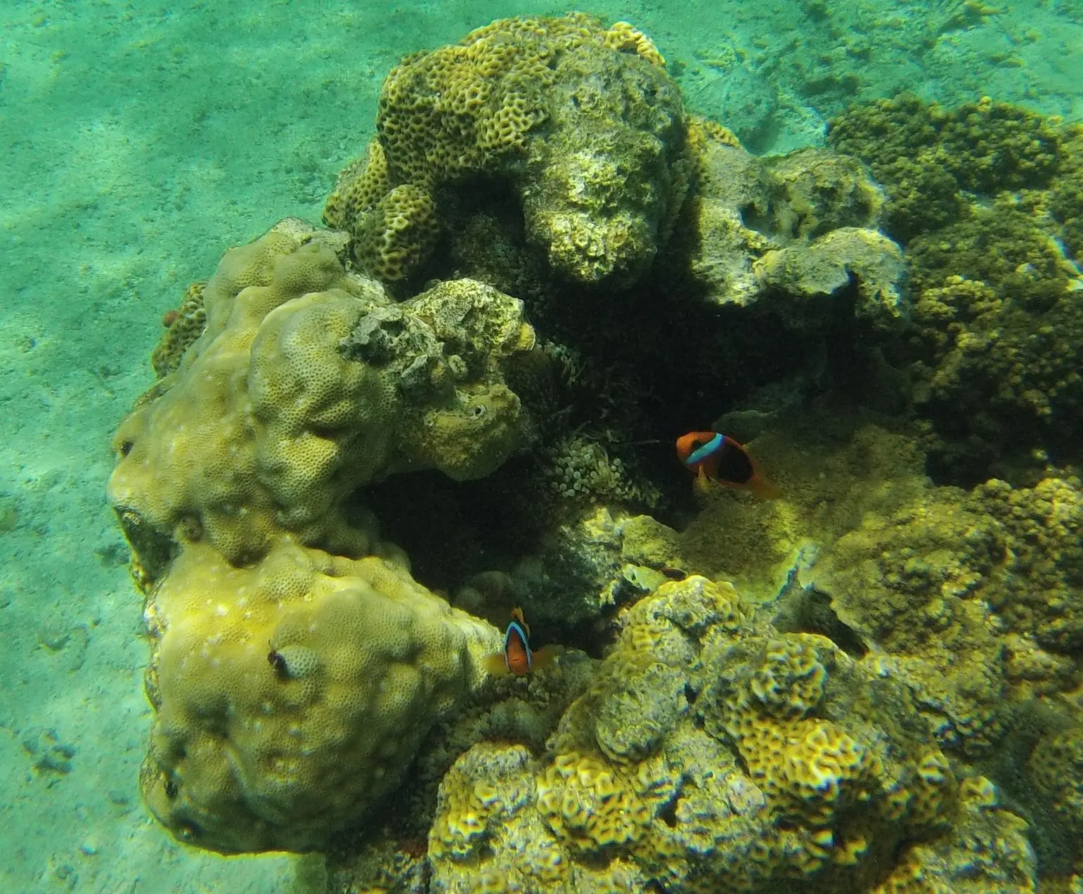 Lifou | Baie de Jinek